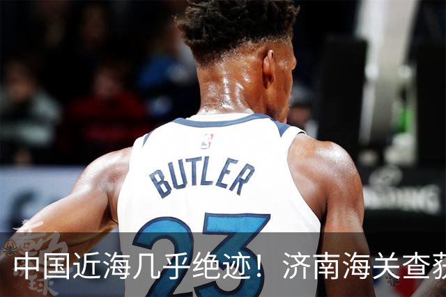 中国近海几乎绝迹！济南海关查获17只手镯，竟是由极危"国宝"制成