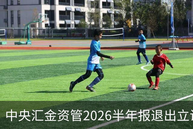 中央汇金资管2026半年报退出立讯精密前十大股东名单