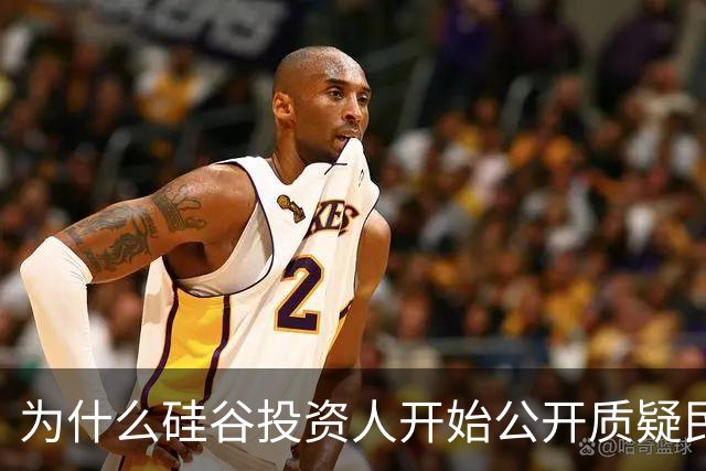 为什么硅谷投资人开始公开质疑民主？AI算力成了瓶颈
