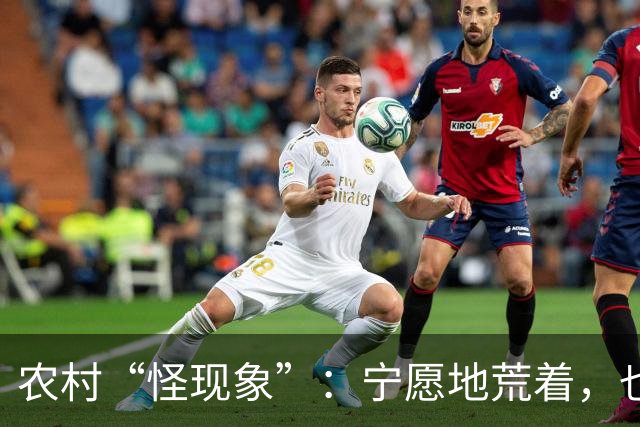 农村“怪现象”：宁愿地荒着，也不种粮食，把专家气够呛，咋回事