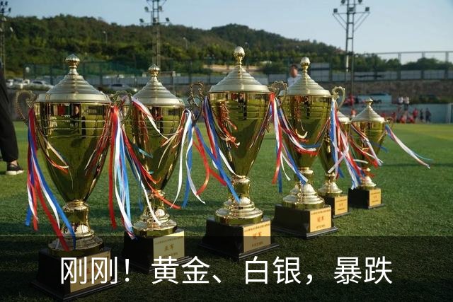 刚刚！黄金、白银，暴跌