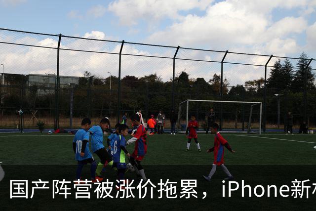 国产阵营被涨价拖累，iPhone新机中国销量增长29%