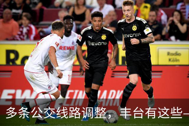 多条公交线路调整，丰台有这些——