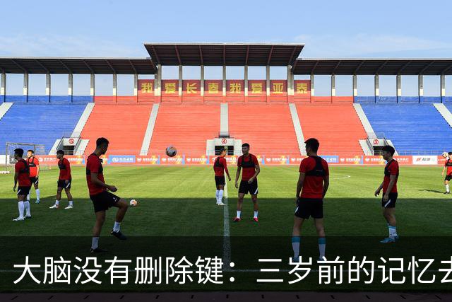 大脑没有删除键：三岁前的记忆去哪了？