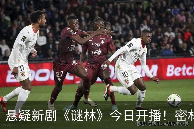 悬疑新剧《谜林》今日开播！密林藏旧案一场跨越十六年的追凶之旅
