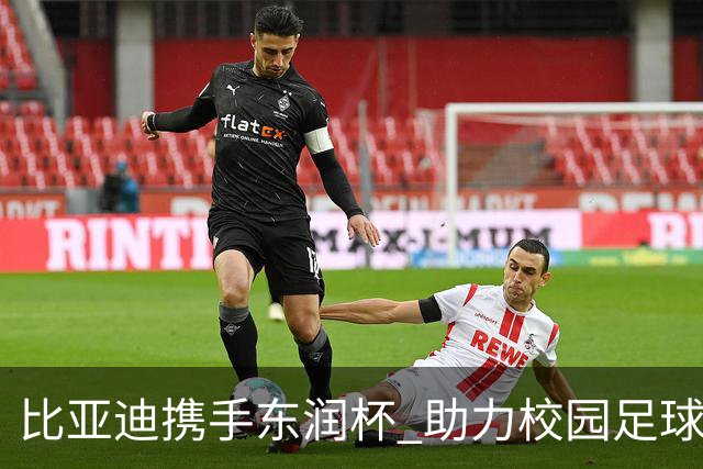 比亚迪携手东润杯 助力校园足球少年圆梦工体
