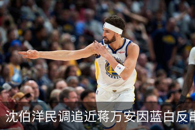 沈伯洋民调追近蒋万安因蓝白反串？台作家：绿营将再现“大罢免”惨败