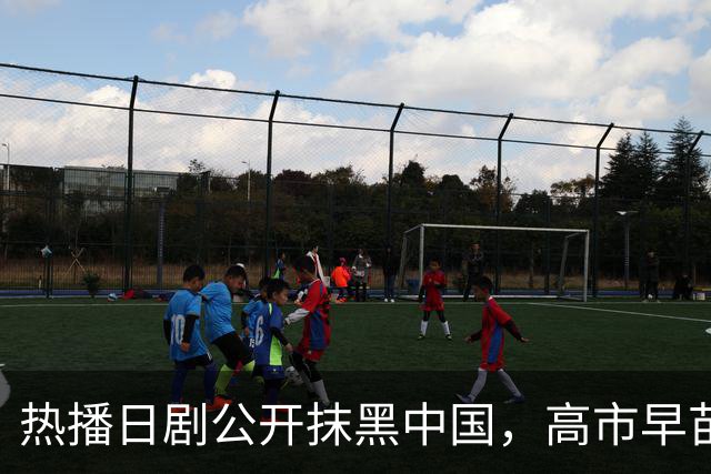 热播日剧公开抹黑中国，高市早苗点名要看，洪秀柱最新表态亮了