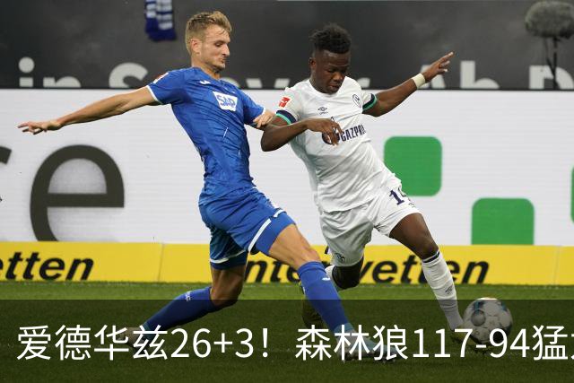 爱德华兹26+3！森林狼117-94猛龙，看数据：他是头号功臣！