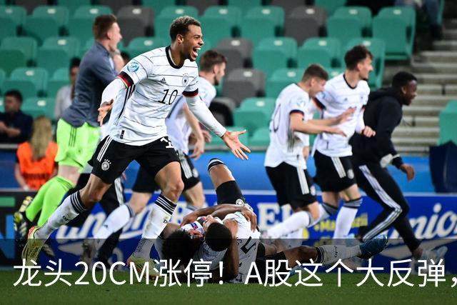 龙头20CM涨停！A股这个大反弹，太提气了！
