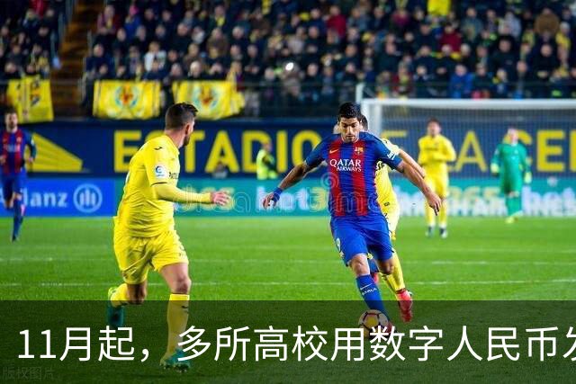 11月起，多所高校用数字人民币发工资！微信支付宝这回坐不住了