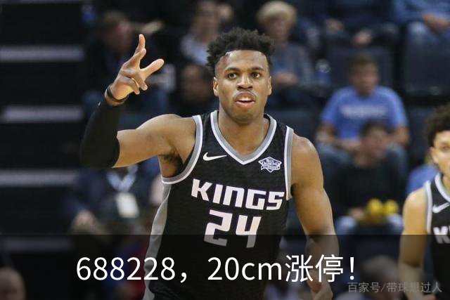 688228，20cm涨停！
